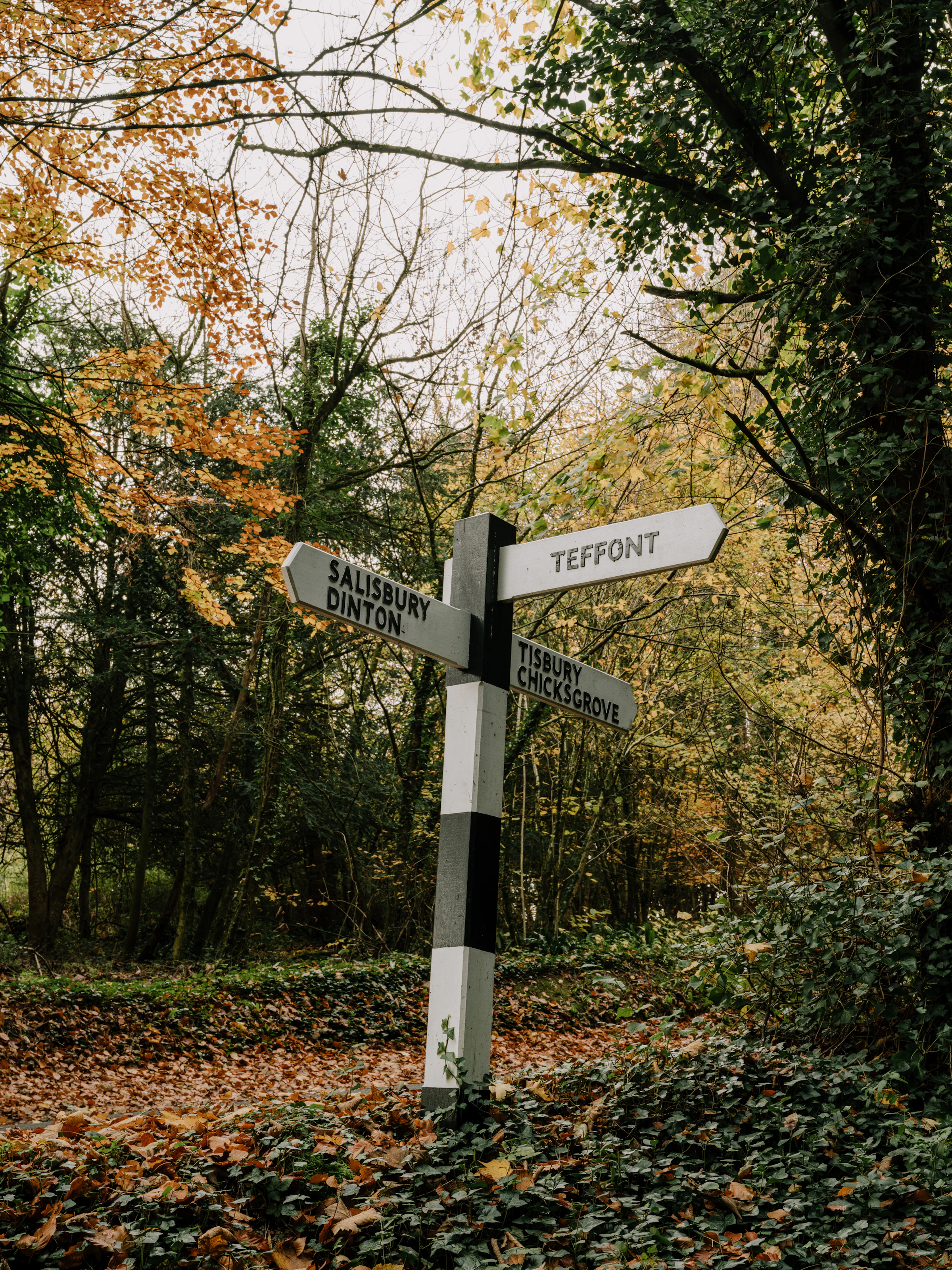 White signpost in a forest with arrows pointing to Teffont, Salisbury, Dinton, Tisbury, and Chicksgrove.